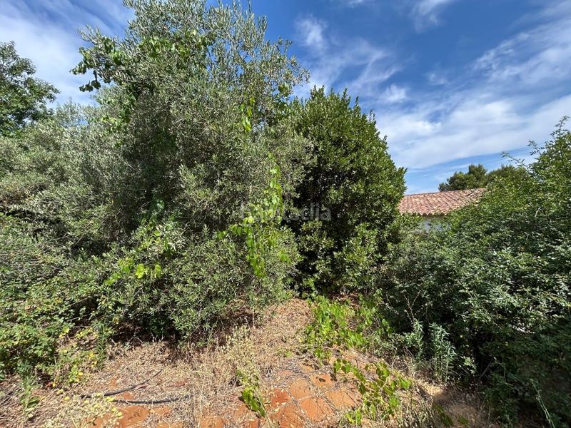 Foto 83d34f9e-c606-4d1f-beea-7bd0028b8ccd. Casa amb aparcament a Requena