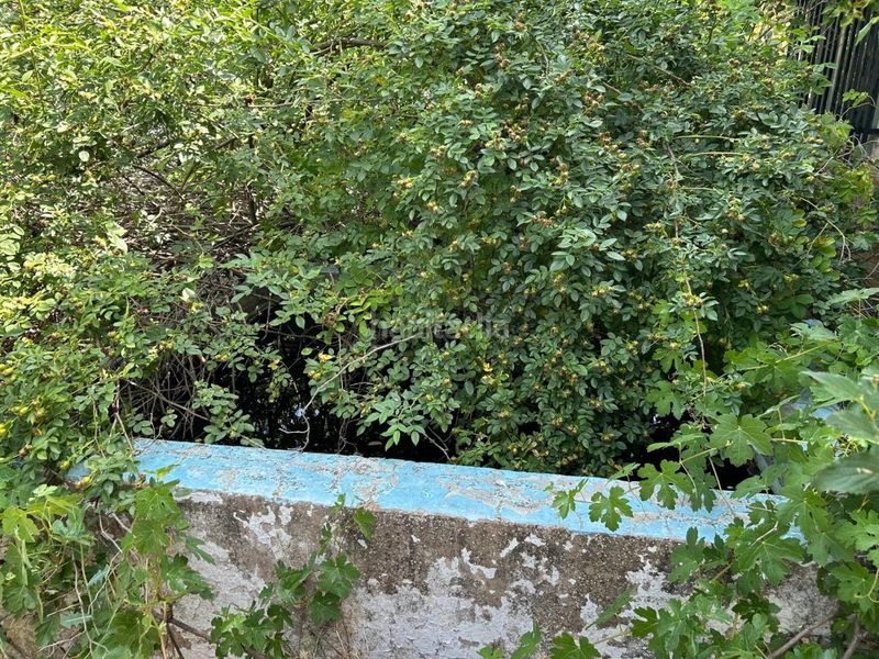 Foto aa9273b9-df46-4aa8-887b-c8b39c952507. Casa amb aparcament a Requena