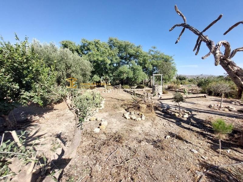Foto ffaeb057-cdc6-4bda-b89d-de1a498ddb1f. Casa  de campo en Purias en Purias Lorca