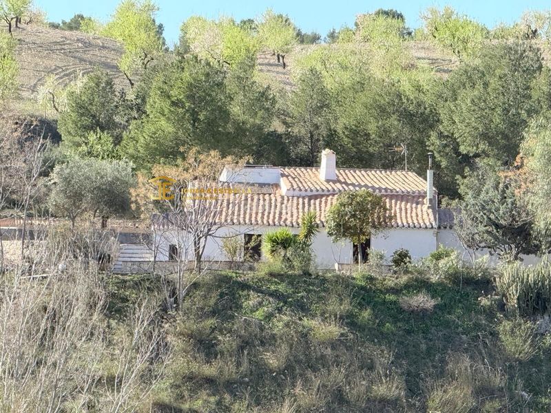 Foto 17e13b0c-9695-4c0f-a159-3ad6e412653f. Maison avec parking dans Jarales Lorca