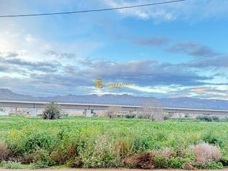 Terreny residencial en Tercia. Parcela en tercia. ideal para  crear tu nueva vivienda