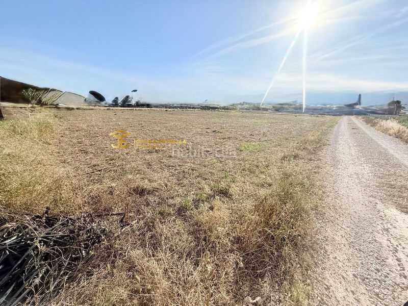 Foto 85af547c-54cf-4a78-a688-479b5141467e. Terreny residencial a Campillo Lorca