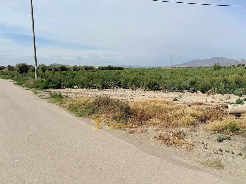 Foto 1d43b964-cfa4-4c9a-9bf1-feacc2b281ec. Casa a Almendricos Lorca