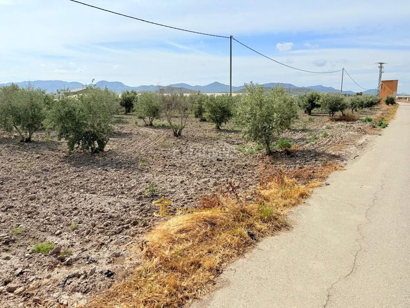 Foto b605a7e7-4fcc-4a4e-a0a2-5e69f4661955. Casa a Almendricos Lorca