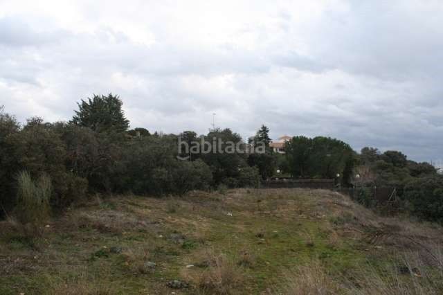 Foto 18c91de7-b97b-4308-a81c-a2b17fe7204e. Xalet a Cerro Alarcón Valdemorillo