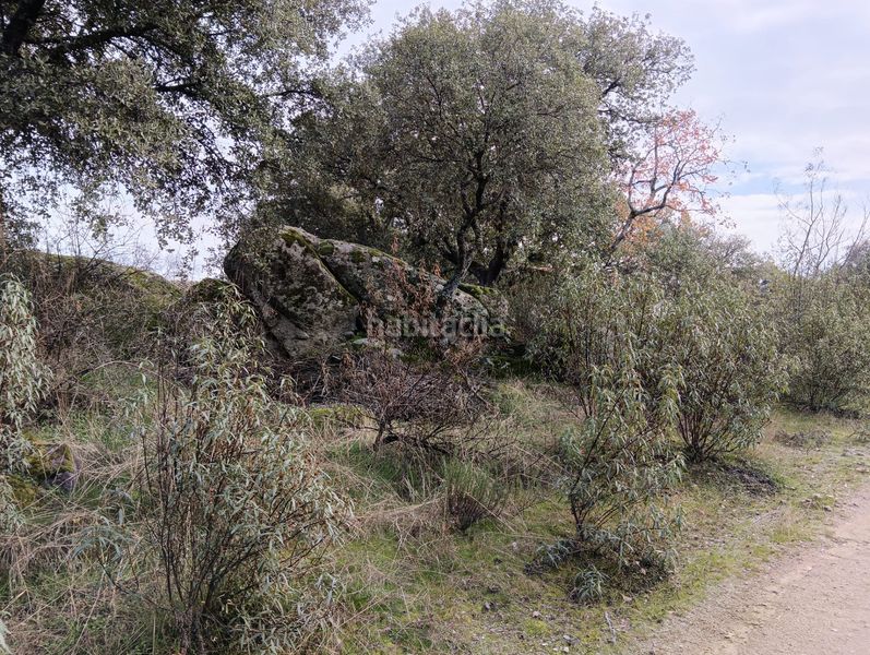 Foto 3e1c7b64-ba68-4f55-add7-65a20686fc7f. Xalet a Mojadillas-Parque de las Infantas-El Paraiso Valdemorillo