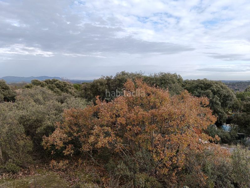 Foto 5a73d8e7-9293-499e-a1ae-c189a98676a6. Xalet a Mojadillas-Parque de las Infantas-El Paraiso Valdemorillo