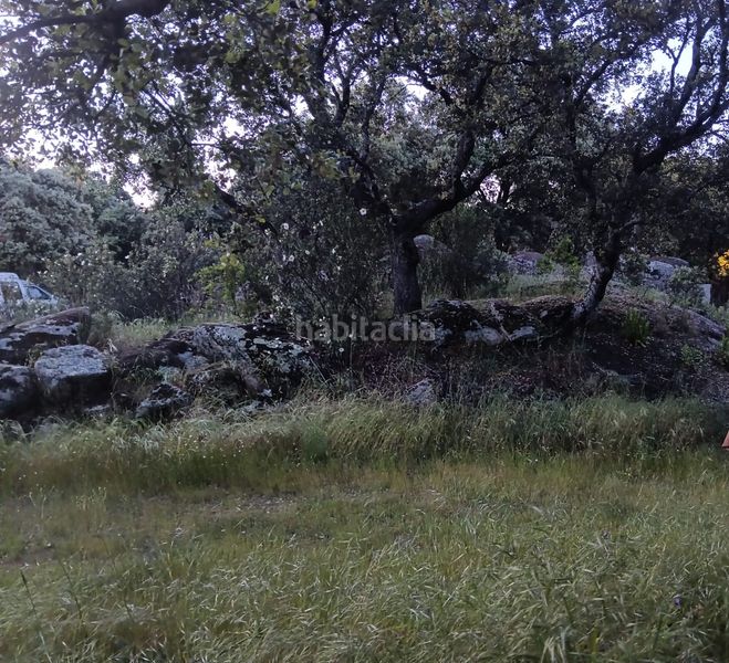 Foto dbcd9dc1-7602-4a68-bde9-fc62302850b5. Xalet a Mojadillas-Parque de las Infantas-El Paraiso Valdemorillo