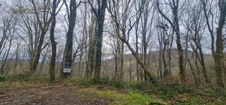 Finca rústica en Aldura gunea aldea 56. Terreno con árboles