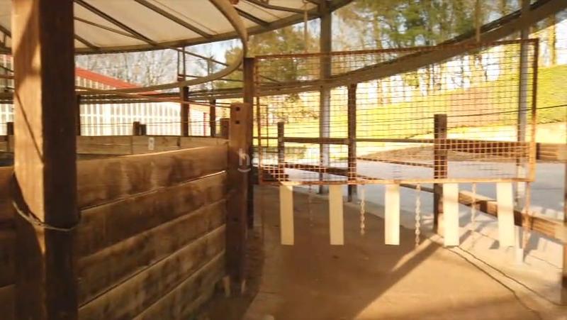 Foto a15b36d7-e04a-4c7b-8fe4-6ce1337a6eb7. Edifici a aldura gunea aldea 55 a Zamalbide Errenteria