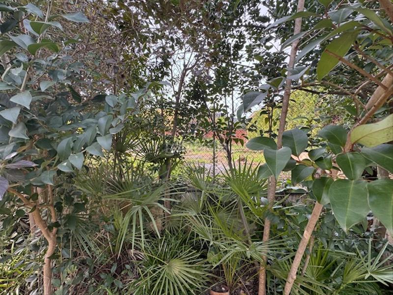 Foto b5907e8b-d671-48eb-aa5d-11d94f0e5e0b. Xalet a carrer mas sabet 14 a Sentmenat