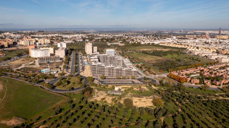 Foto a017d721-08b3-4ae0-ba91-c988b73db29b. Local comercial 239m<sup>2</sup> a Aljamar Tomares