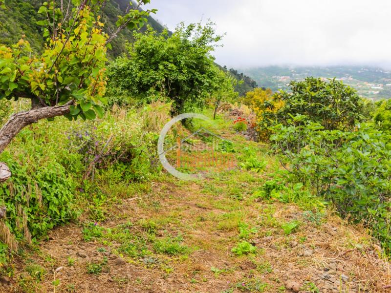 Foto 1a989346-d9cd-4d5d-8e67-26144fb69e1a. Terreny residencial a Las Cuevas - Los Gómez Orotava (La)