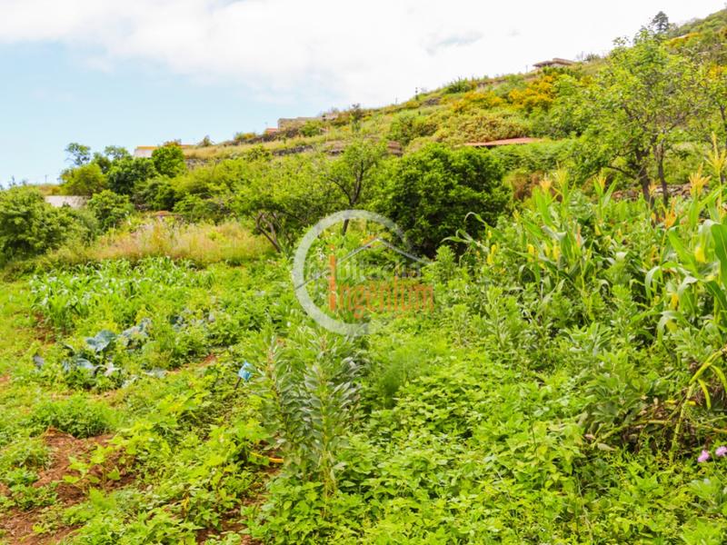 Foto 91332bfd-4886-4102-9874-a50a51215340. Terreny residencial a Las Cuevas - Los Gómez Orotava (La)