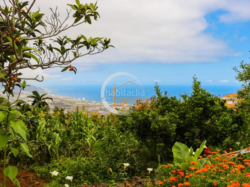 Foto 98acaf29-e4cc-4cd8-bbe9-ea9d0f580b63. Terreny residencial a Las Cuevas - Los Gómez Orotava (La)