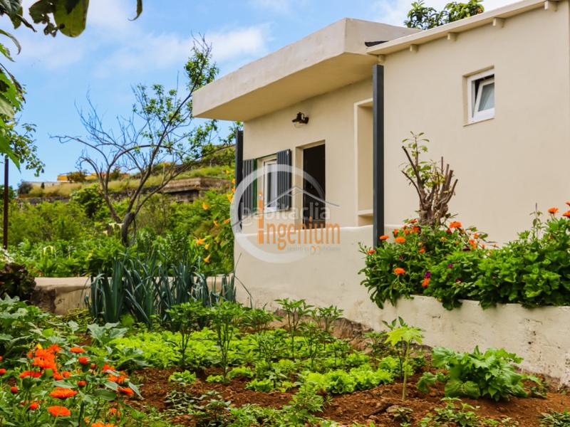 Foto f084ea52-010a-4ae4-8c67-493131d81100. Terreny residencial a Las Cuevas - Los Gómez Orotava (La)