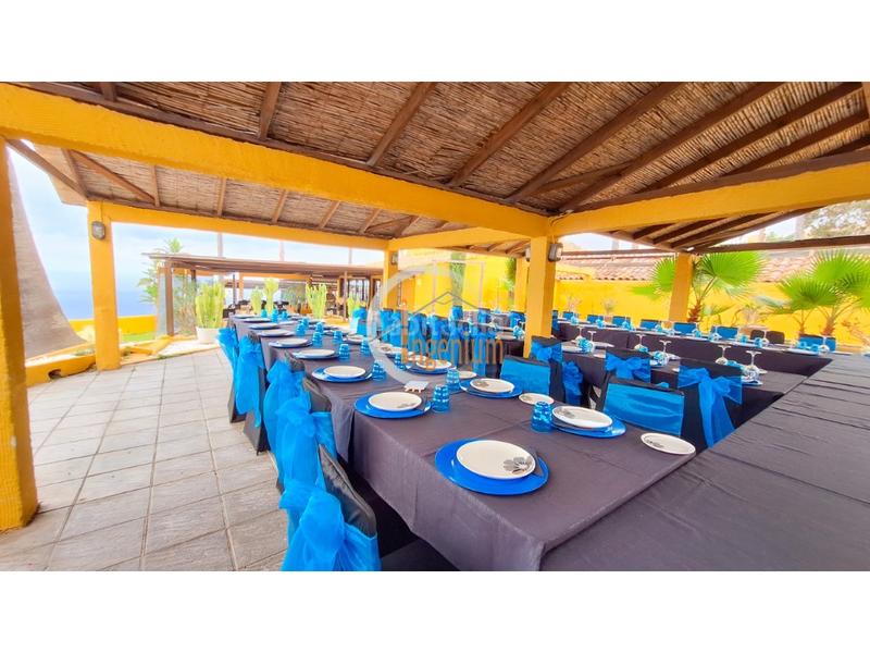 Foto f3140463-d036-4857-9e21-b7a064871376. Local commercial dans Victoria de Acentejo (La)