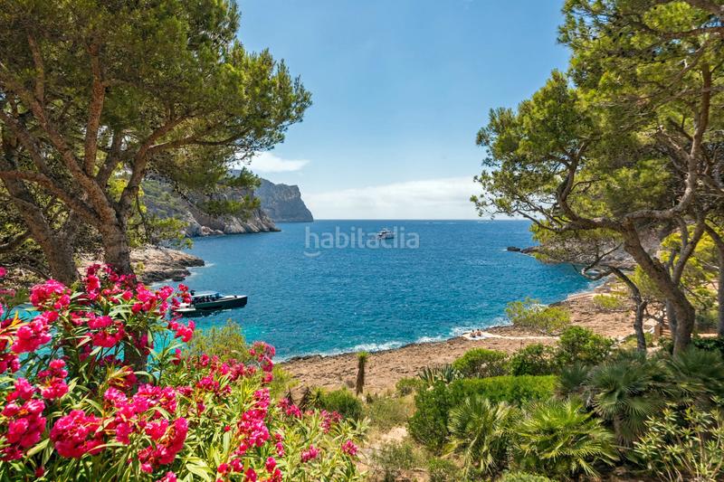 Foto 4885e16e-4c34-4e7c-bc72-c9e502eaa877. Dachwohnung mit parking pool in port d´Andratx Andratx