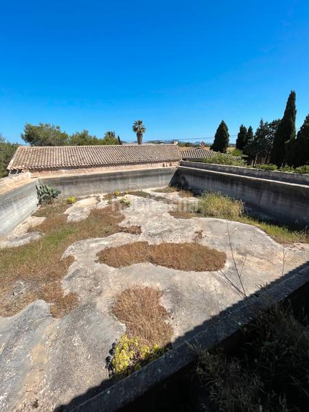 Foto 66daddea-1959-49bd-a927-ef594a3e203b. Finca rústica a Cala d´Or Santanyí