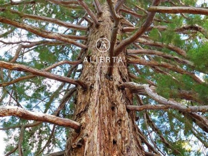 Foto 03fc60c9-7ba3-4229-988a-33bad2139d65. Xalet amb calefacció aparcament a Daroca