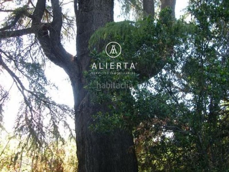 Foto 373bdcc2-aee2-4191-bb9b-dd07d918865c. Xalet amb calefacció aparcament a Daroca