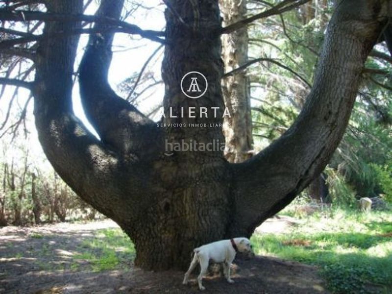 Foto e0b83786-f7e0-4f77-865d-322fd1731c7e. Xalet amb calefacció aparcament a Daroca