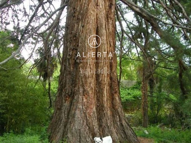 Foto e8fda938-c128-426a-9b34-29fd6deb9d96. Xalet amb calefacció aparcament a Daroca