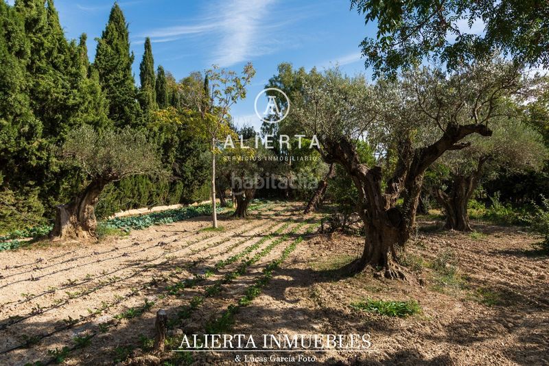Foto c39d0220-dee4-468e-8bf8-c50e53ccea50. Lloguer casa amb calefacció piscina a San Juan de Mozarrifar Zaragoza