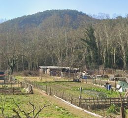 Rent Rural plot  Carretera sant hilari. Terreny agr�cola de 1.072 m� per a hort en lloguer a can mallad�