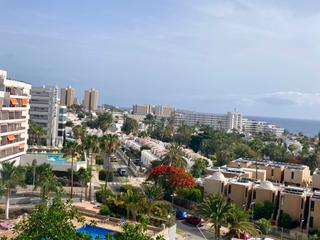 Studio en Calle venezuela 13. Estudio playa las americas