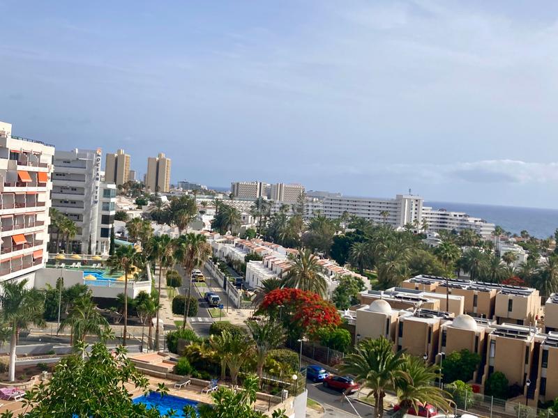 Foto a2baaabd-75b8-44bf-8a1b-f7ec8742436c. Monolocale in calle venezuela 13 in Playa de las Américas Adeje