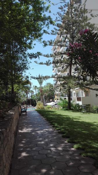 Foto 00d53fa7-6506-4069-8d74-d9ad81075e1b. Studio in avenida santiago puig 4 in Playa de las Américas Arona