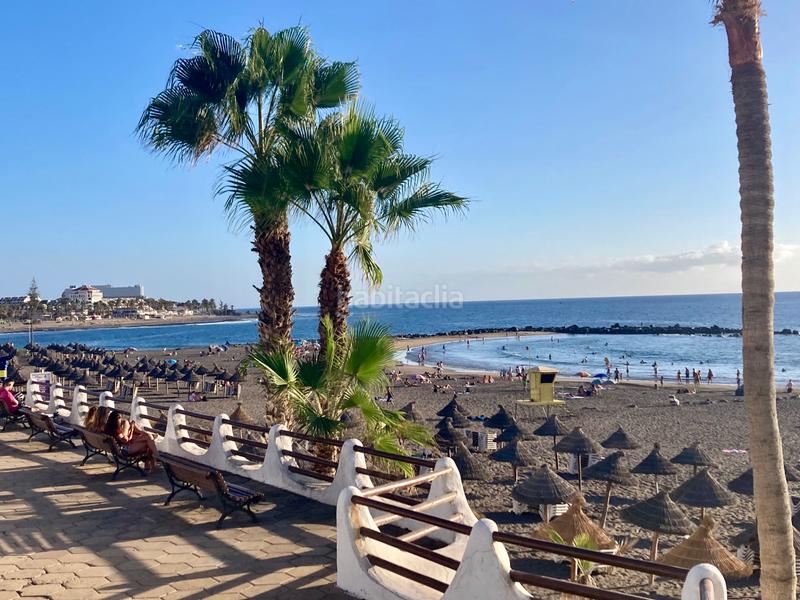 Foto 3c485bd1-4b9e-4757-8d05-da15f88c1422. Studio in avenida santiago puig 4 in Playa de las Américas Arona