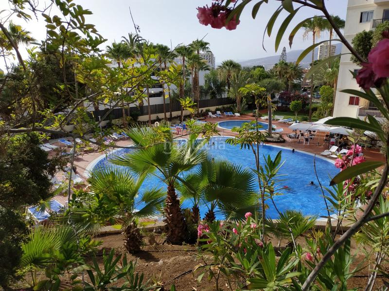 Foto dd374e1e-fcae-4171-b313-2438cb0f6adb. Studio in avenida santiago puig 4 in Playa de las Américas Arona