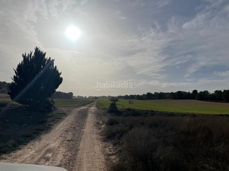 Foto 54129408-657b-4769-a818-72fac599202b. Terreny residencial a La Milagrosa Albacete