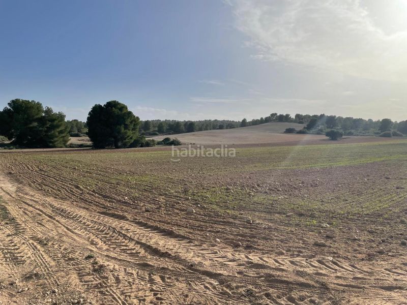 Foto 6b9a011c-cda7-4fb4-9134-a2db980d8afa. Terreny residencial a La Milagrosa Albacete