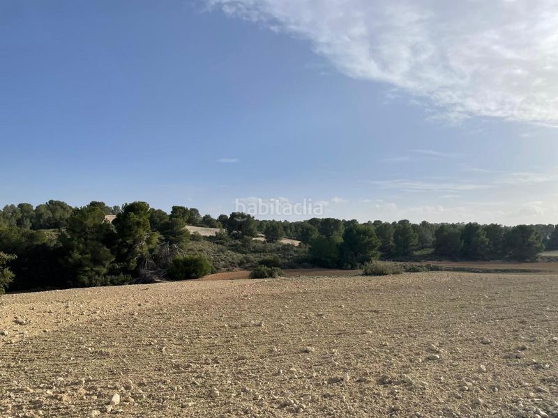 Foto 954710a6-e9c3-4353-b20f-a5e8754420b6. Terreny residencial a La Milagrosa Albacete
