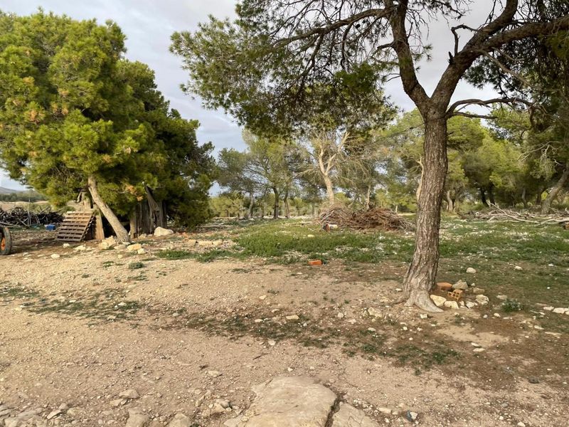 Foto aa1833e6-5aee-4989-8658-362fbfe93b68. Terreny residencial a La Milagrosa Albacete