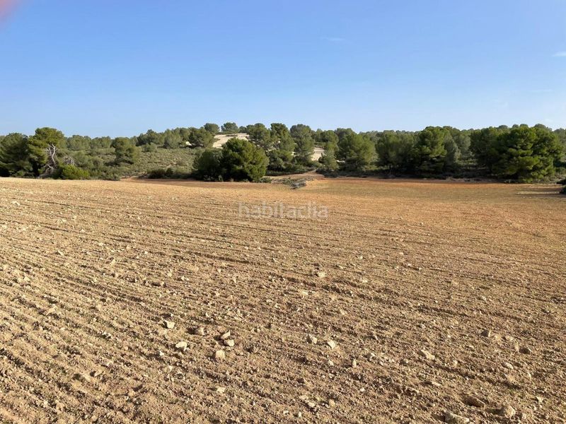 Foto b9fae686-a51b-4975-bde6-e997b268dbdf. Terreny residencial a La Milagrosa Albacete
