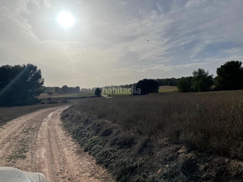 Foto d3e742da-bfc9-4955-a7a4-9466af21305e. Terreny residencial a La Milagrosa Albacete