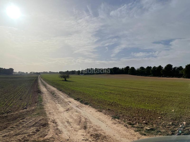 Foto f6218d7b-de79-45f8-bd54-659b249d2805. Terreny residencial a La Milagrosa Albacete