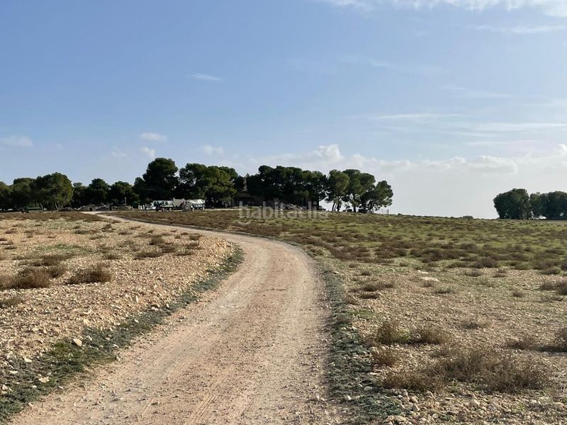 Foto fff5637c-67ea-4e84-8560-fcbeae1d9b54. Terreny residencial a La Milagrosa Albacete
