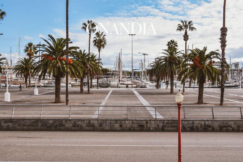 Foto ac649187-2dd8-4bd9-a298-430eede0aefc. Flat with heating in Gòtic Barcelona