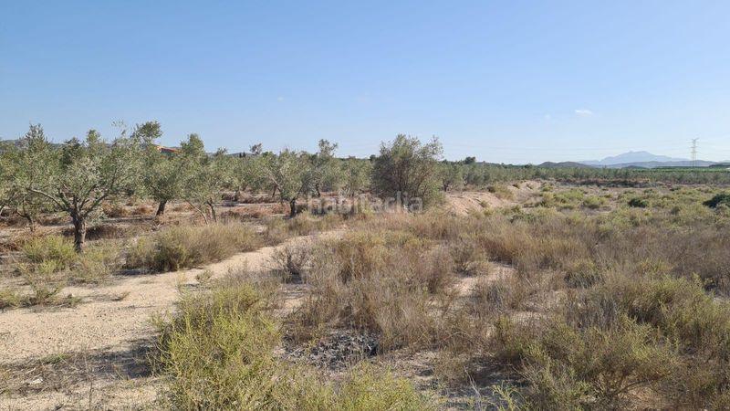 Foto 252afb86-a379-4473-9817-a7fcab4432bc. Masia a Carolinas Bajas Alicante