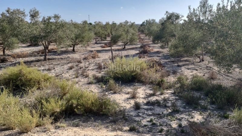 Foto 2a9b701c-714a-4c11-ab61-929e7a6a95f3. Masia a Carolinas Bajas Alicante