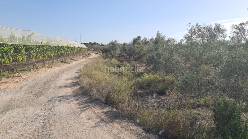 Foto 325753ef-871f-4683-85c2-6218a8099b81. Masia a Carolinas Bajas Alicante