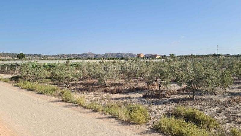 Foto 7de9555e-41f2-4728-b930-7ce25252bacc. Masia a Carolinas Bajas Alicante