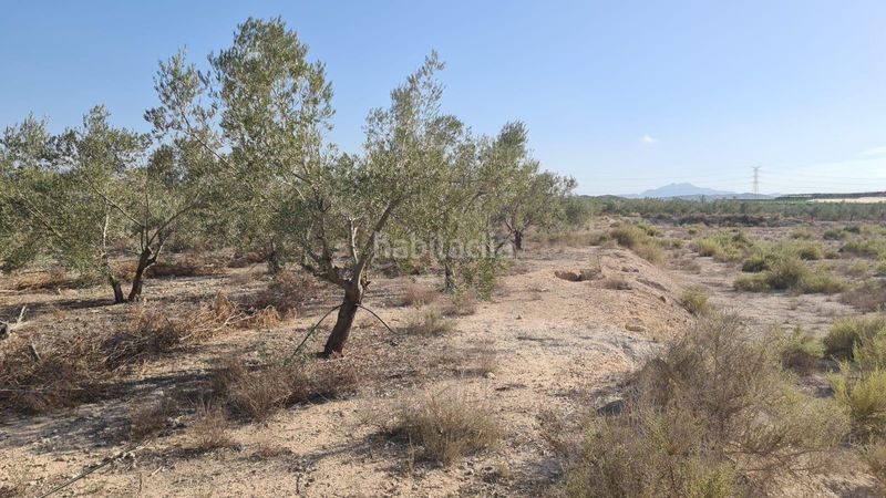Foto 8a65e919-e944-49ec-be5f-93194dba6185. Masia a Carolinas Bajas Alicante
