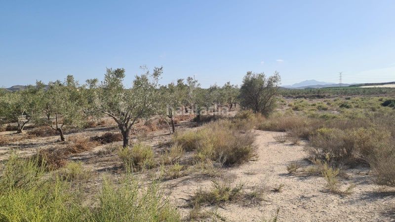 Foto 9a45b2a3-b25c-4067-8bb1-f6b4675cdf9b. Masia a Carolinas Bajas Alicante