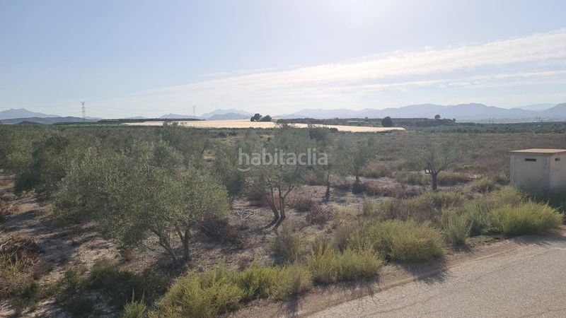 Foto 9f87b4d1-f304-4942-a07f-d91dd0ec1c89. Masia a Carolinas Bajas Alicante